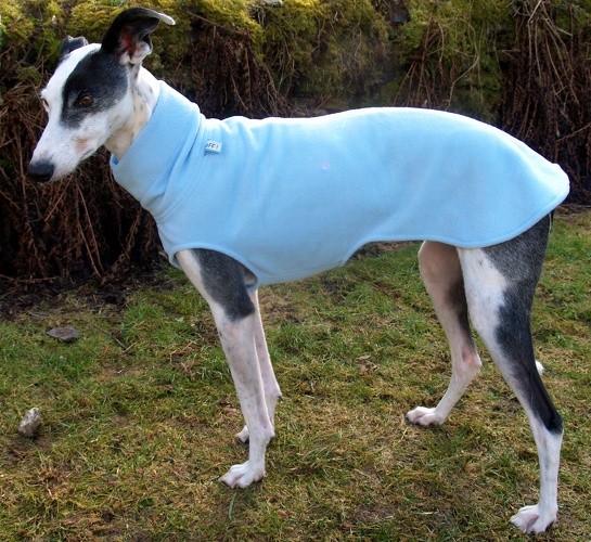  Pulli in Größe Whippet M, Maße des Hundes: Rückenhöhe: 58cm, Rückenlänge: 56cm, Brustumfang: 61cm, Bauchumfang: 43cm