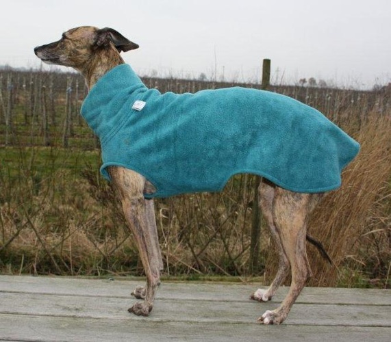 Pulli in Größe Whippet M, Maße des Hundes: Rückenhöhe: 51cm, Rückenlänge: 50cm, Brustumfang: 58cm, Bauchumfang: 43cm