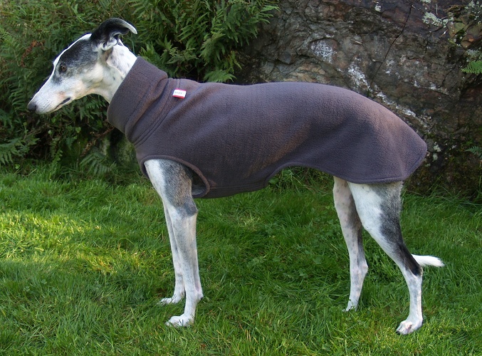 Fleece: Dunkel-Grau, Bestell-Nr.: PW-DG-L, Preis: 37,00€