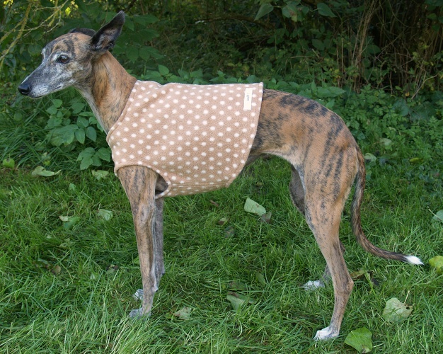 Body in Größe S, Maße des Hundes: Rückenhöhe: 50cm, Rückenlänge: 50cm, Brustumfang: 57cm, Bauchumfang: 33cm