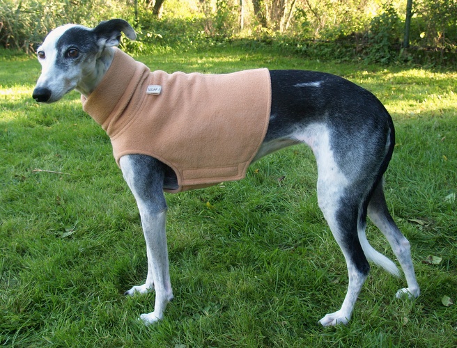 Fleece: Camel, Bestell-Nr.: BW/K-CA-M-K, Preis: 36,75€