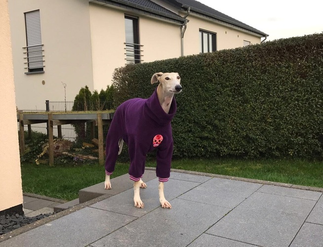 Anita