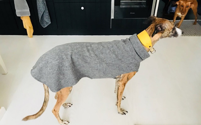 Nala