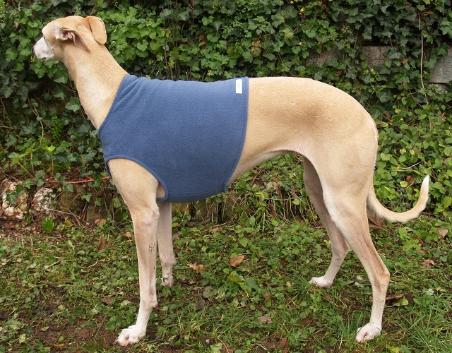 Fleece: Eisblau, Bestell-Nr.: BG-EBL-M, Preis: 23,75€