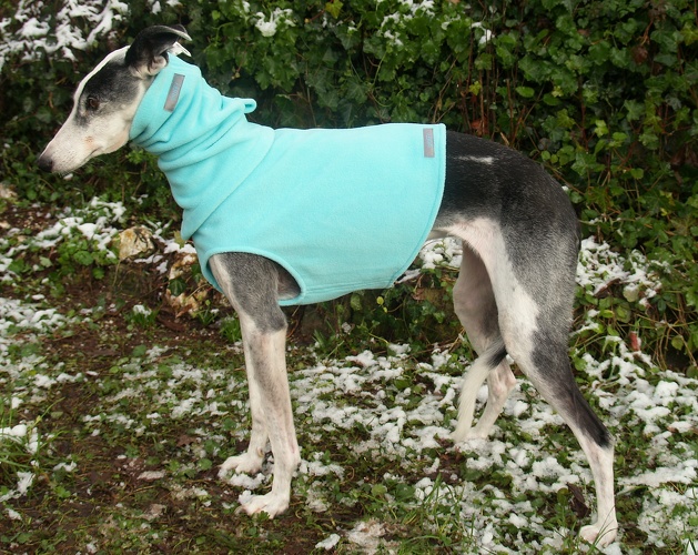 Fleece: Mint, Bestell-Nr.: B/HW-MI-L, Preis: 35,00€