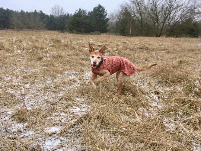 Meggie