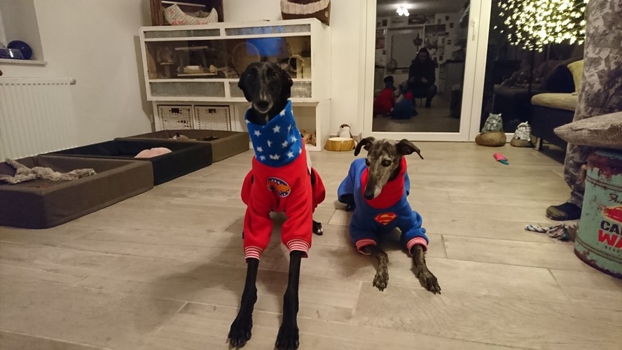 Fenaya und Sully