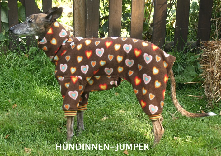 Hündin, Fleece: Herzchen Bunt, Bündchen: Braun/Orange/Hellgrün, Bestell-Nr.: JWH-H/BU-S, Preis: 56,00€