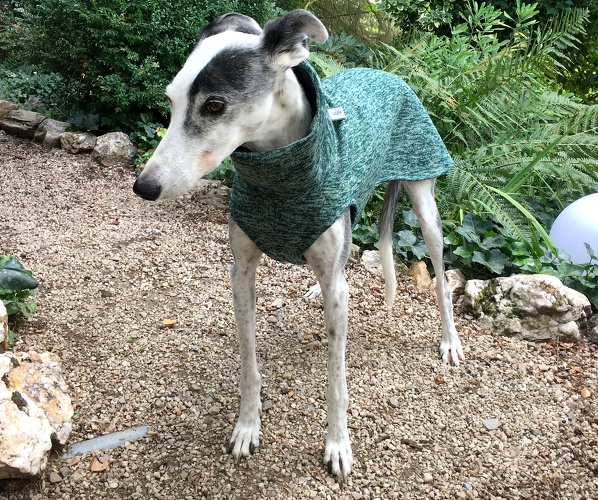 Pulli in Größe S, Maße des Hundes: Rückenhöhe: 58cm, Rückenlänge: 56cm, Brustumfang: 61cm, Bauchumfang: 43cm