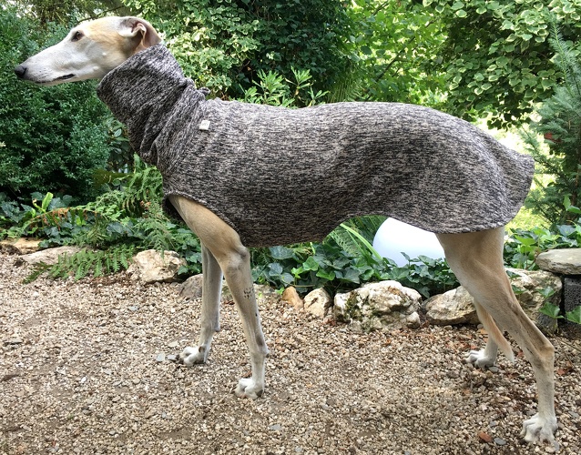 Pulli in Größe L, Maße des Hundes: Rückenhöhe: 69cm, Rückenlänge: 67cm, Brustumfang: 76cm, Bauchumfang: 52cm