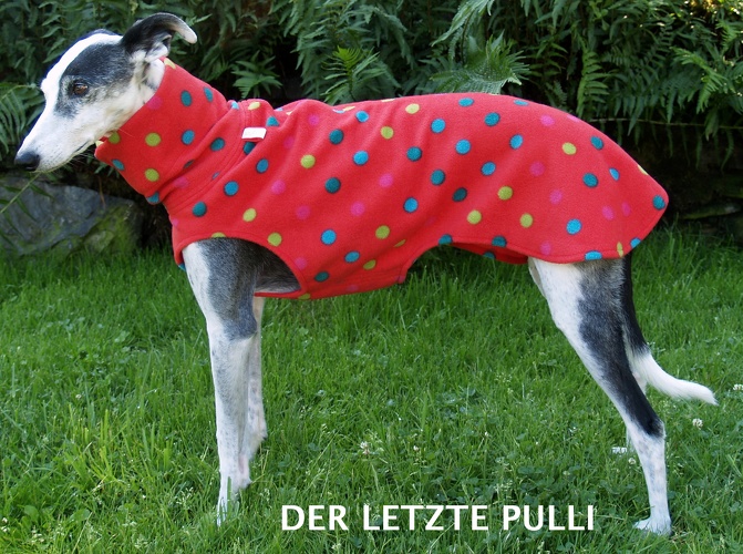 DER LETZTE SO LIEFERBARE PULLI, Fleece: Rot mit bunten Tupfen, Bestell-Nr.: PG-R/BU-S, Preis: 39,50€
