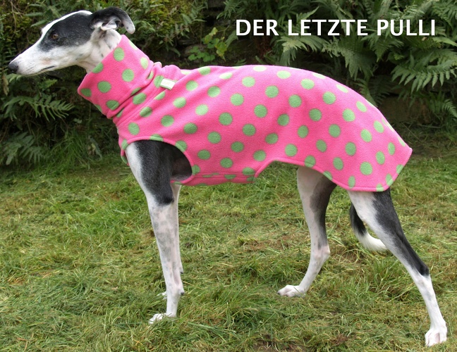 DER LETZTE SO LIEFERBARE PULLI, Fleece: Sterne Pink, Bestell-Nr.: PG-ST/P-S, Preis: 39,50€