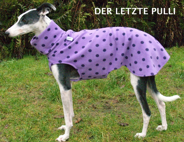 DER LETZTE SO LIEFERBARE PULLI, Fleece: Violett mit lila Tupfen, Bestell-Nr.: PG-V/L-S, Preis: 39,50€