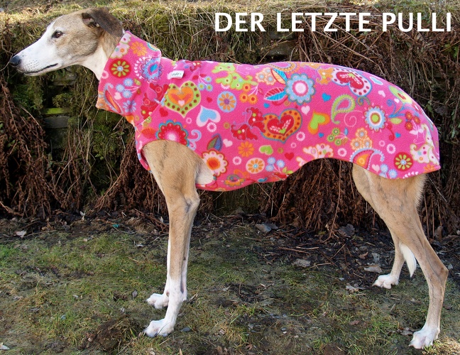 DER LETZTE SO LIEFERBARE PULLI, Fleece: Pink-Paisley, Größe: L, Bestell-Nr.: PG-P/P-L, Preis: 39,50€