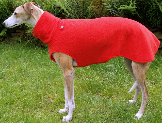 Fleece: Rot, Bestell-Nr.: PG-R-XL, Preis: 39,50€