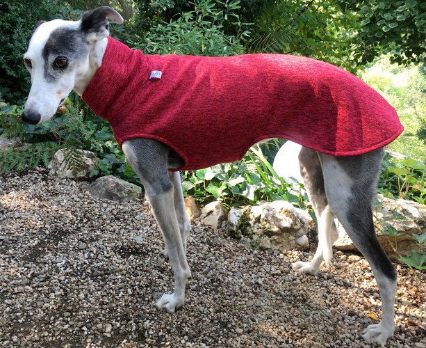 Pulli in Größe Whippet L, Maße des Hundes: Rückenhöhe: 58cm, Rückenlänge: 56cm, Brustumfang: 61cm, Bauchumfang: 43cm