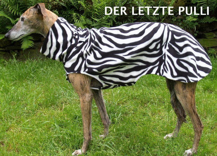DER LETZTE SO LIEFERBARE PULLI, Fleece: Zebra, Bestell-Nr.: PG-Z-M, Preis: 39,50€
