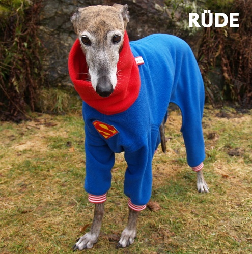 Rüde, Modell "Superman", Fleece: Royalblau und Rot, Bündchen: Rot/Weiß, Bestell-Nr.: JGR-SUP-L Preis: 73,50€