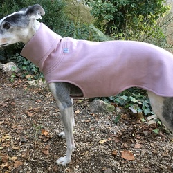 GALGOS