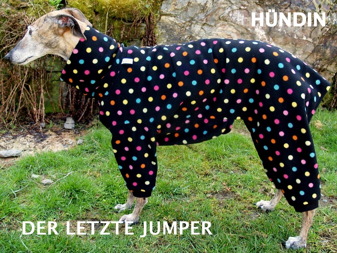 DER LETZTE SO LIEFERBARE JUMPER, Hündin, Fleece: Schwarz mit bunten Tupfen, Bündchen: Schwarz, Bestell-Nr.: JGH-S/B-M, Preis: 63,50€