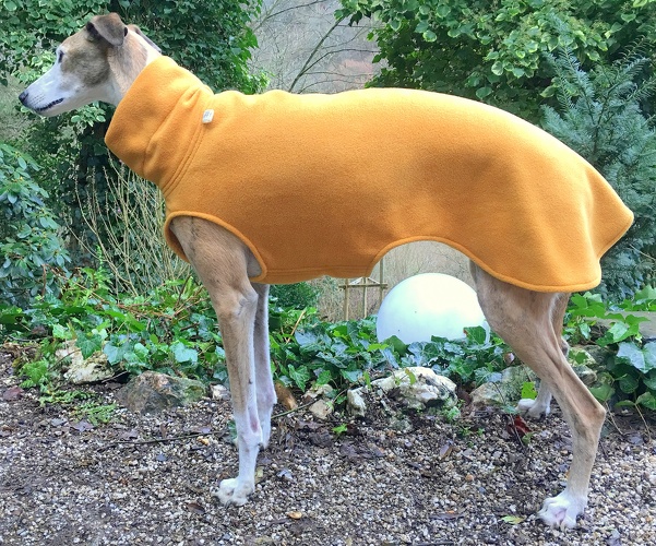 Pulli in Größe XL, Maße des Hundes: Rückenhöhe: 72cm, Rückenlänge: 69cm, Brustumfang: 79cm, Bauchumfang: 57cm