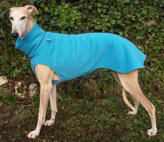 Fleece: Türkis, Bestell-Nr.: PG-TÜ-M, Preis: 39,50€