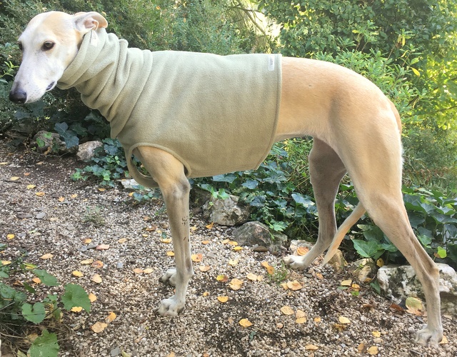 Hell-Khaki, Material-Nummer: F-43