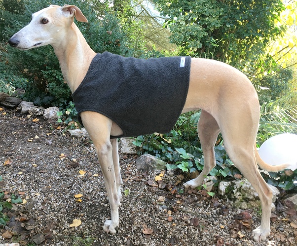 Fleece: Anthrazit, Bestell-Nr.: BG-AN-M, Preis: 23,75€