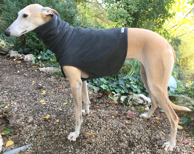 Fleece: Anthrazit, Bestell-Nr.: B/HG-AN-M, Preis: 35,00€