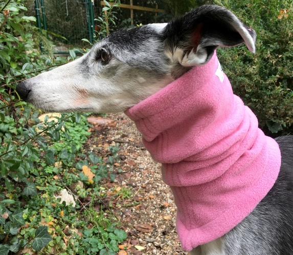 Einlagig mit Einschlitzung für Halsband, Fleece: Helles Alt-Rosa, Bestell-Nr.: HW/S-HAR, Preis: 13,50€
