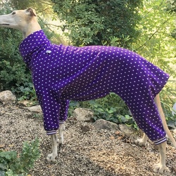 Sweatshirt/Jersey-Jumper