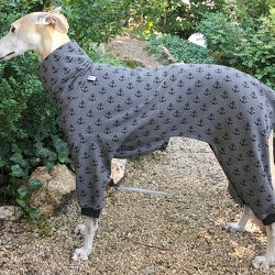 GALGOS