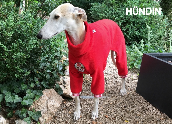 COMIC-JUMPER, Hündin, Fleece: Rot, Patch: Totenkopf Weiß, Bündchen: Rot/Weiß, Bestell-Nr.: JGH-SKU/RW-L, Preis: 73,50€