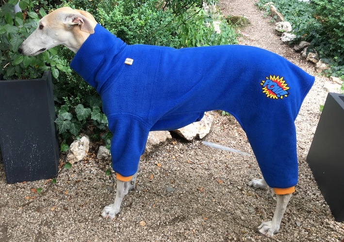 Jumper in Größe L, Maße des Hundes: Rückenhöhe: 69cm, Rückenlänge: 67cm, Brustumfang: 76cm, Bauchumfang: 52cm