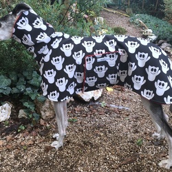 GALGOS