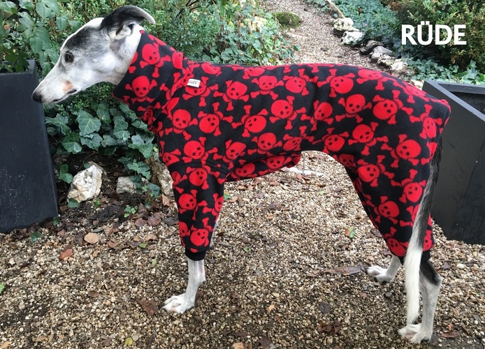 Whippet jumper cheap
