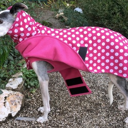 GALGOS