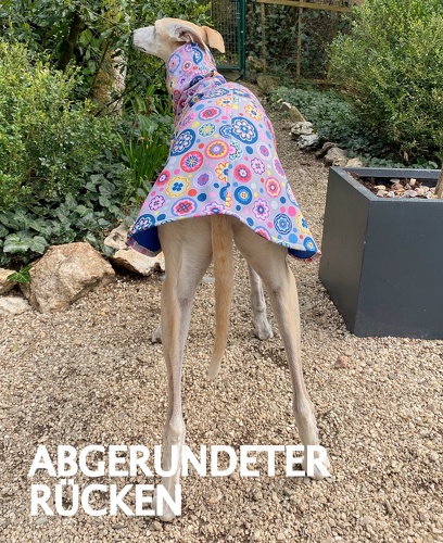 Softshell-Pulli in Größe L, Maße des Hundes: Rückenhöhe: 69cm, Rückenlänge: 67cm, Brustumfang: 76cm, Bauchumfang: 52cm