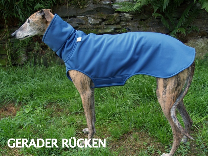 Softshell-Pulli in Größe S, Maße des Hundes: Rückenhöhe: 60cm, Rückenlänge: 60cm, Brustumfang: 64cm, Bauchumfang: 45cm.