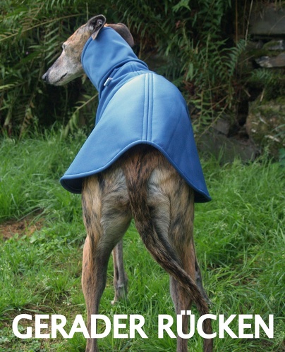Softshell-Pulli in Größe S, Maße des Hundes: Rückenhöhe: 60cm, Rückenlänge: 60cm, Brustumfang: 64cm, Bauchumfang: 45cm.