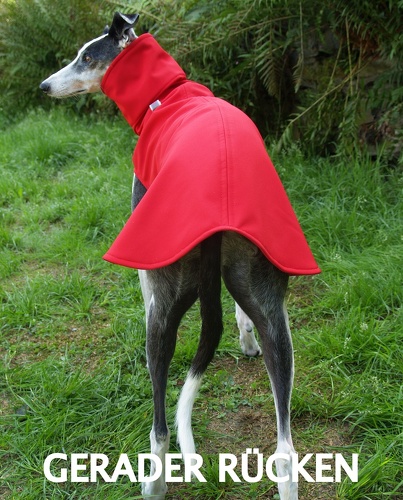 Softshell-Pulli in Größe S, Maße des Hundes: Rückenhöhe: 58cm, Rückenlänge: 56cm, Brustumfang: 61cm, Bauchumfang: 43cm.