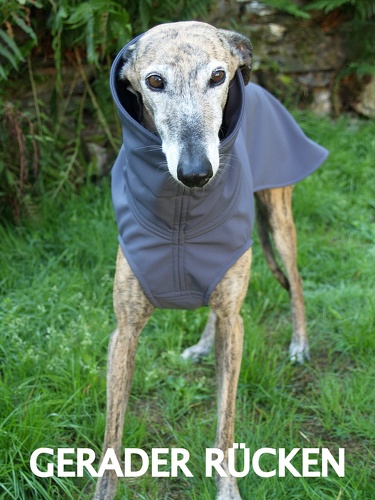 Softshell-Pulli in Größe M, Maße des Hundes: Rückenhöhe: 60cm, Rückenlänge: 60cm, Brustumfang: 64cm, Bauchumfang: 45cm.