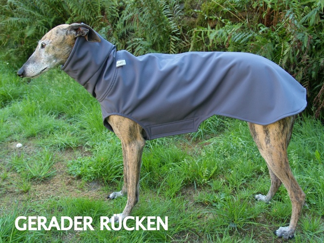 Softshell-Pulli in Größe M, Maße des Hundes: Rückenhöhe: 60cm, Rückenlänge: 60cm, Brustumfang: 64cm, Bauchumfang: 45cm.