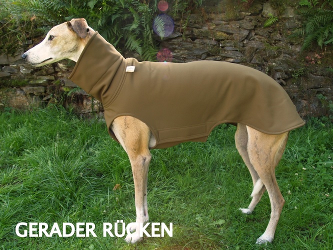 Softshell-Pulli in Größe L, Maße des Hundes: Rückenhöhe: 72cm, Rückenlänge: 69cm, Brustumfang: 76cm, Bauchumfang: 49cm.