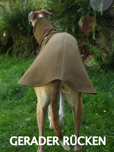 Softshell-Pulli in Größe L, Maße des Hundes: Rückenhöhe: 72cm, Rückenlänge: 69cm, Brustumfang: 76cm, Bauchumfang: 49cm.