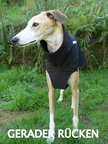 Softshell-Pulli in Größe XL, Maße des Hundes: Rückenhöhe: 72cm, Rückenlänge: 69cm, Brustumfang: 76cm, Bauchumfang: 49cm.