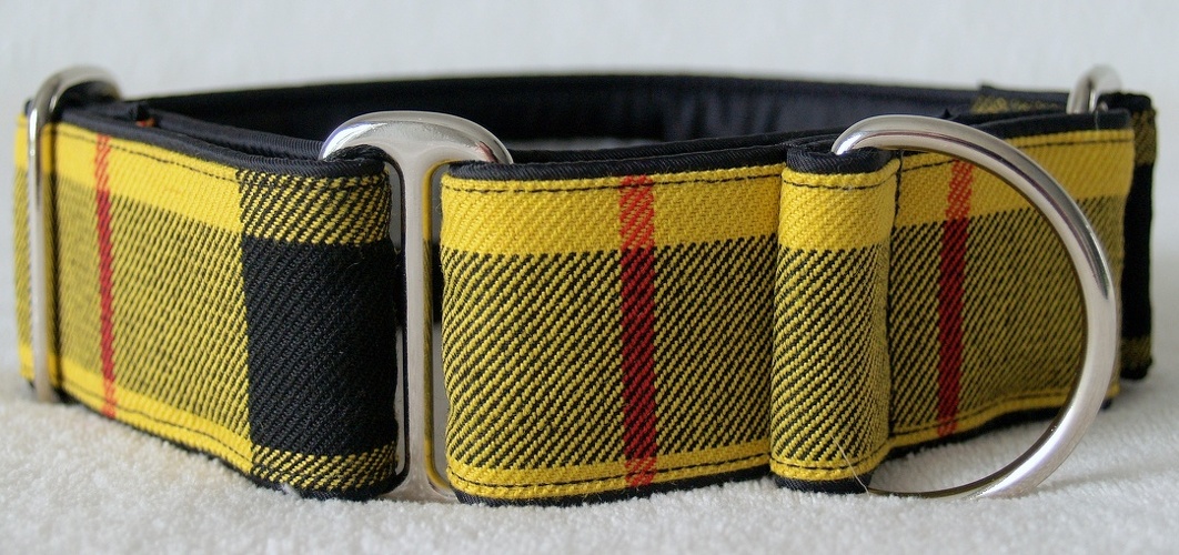 Martingal gepolstert, Modell "Tartan-Mac Leod of Lewis", Breite: 4cm, maximaler Kopfumfang: 45cm, Bestell-Nr.: SM-G4-9, Preis: 34,50€