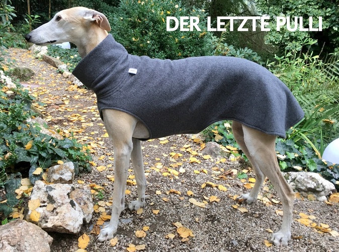 DER LETZTE SO LIEFERBARE PULLI, Baumwollfleece: Anthrazit Melange, Bestell-Nr.: BFG-AN-S, Preis: 51,50€
