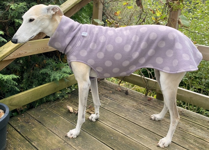 Fleece: Punkte Beere, Bestell-Nr.: PG-P/BEE-L, Preis: 39,50€