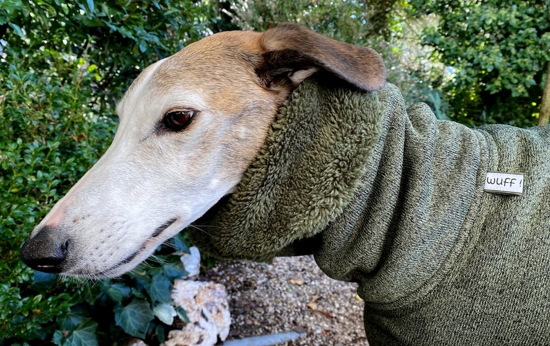 Veranschaulichung Doubleface-Strickfleece in Olive-Grün Melange, hier als Langkragen